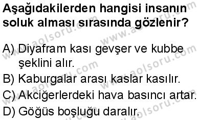 Seçmeli Biyoloji 2 Dersi 2024-2025 yılı 3. Dönem sınavı 1. Soru
