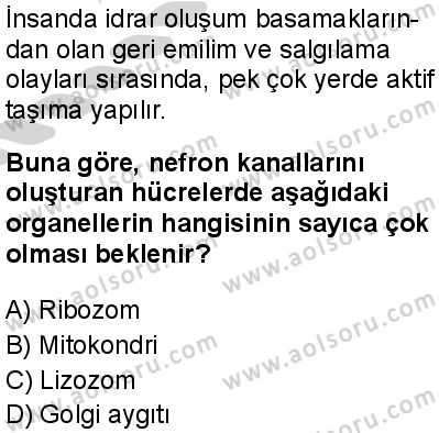 Seçmeli Biyoloji 2 Dersi 2024-2025 yılı 3. Dönem sınavı 4. Soru