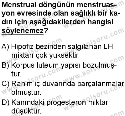 Seçmeli Biyoloji 2 Dersi 2024-2025 yılı 3. Dönem sınavı 5. Soru