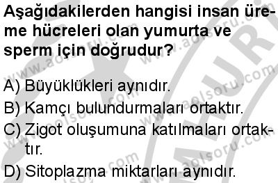 Seçmeli Biyoloji 2 Dersi 2024-2025 yılı 3. Dönem sınavı 6. Soru