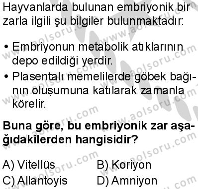 Seçmeli Biyoloji 2 Dersi 2024-2025 yılı 3. Dönem sınavı 7. Soru