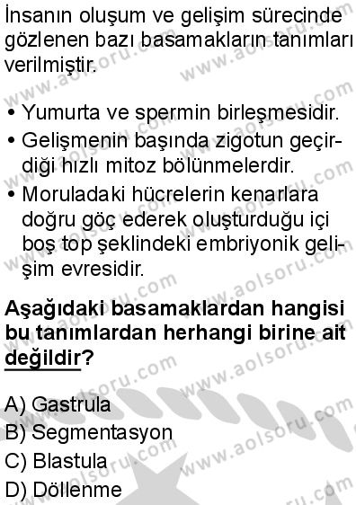 Seçmeli Biyoloji 2 Dersi 2024-2025 yılı 3. Dönem sınavı 8. Soru