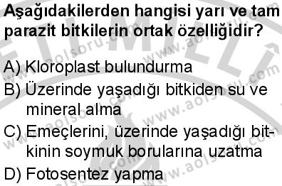 Seçmeli Biyoloji 2 Dersi 2024-2025 yılı 3. Dönem sınavı 9. Soru