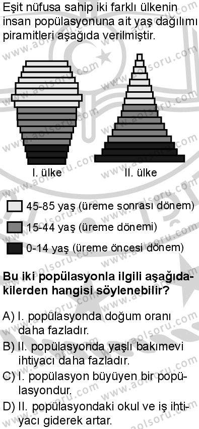 Seçmeli Biyoloji 2 Dersi 2024-2025 yılı 3. Dönem sınavı 10. Soru