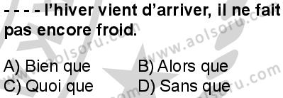 Fransızca 8 Dersi 2024-2025 yılı 3. Dönem sınavı 4. Soru