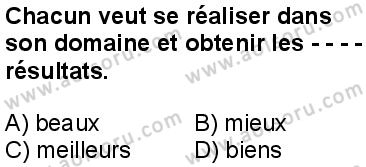 Fransızca 8 Dersi 2024-2025 yılı 3. Dönem sınavı 6. Soru
