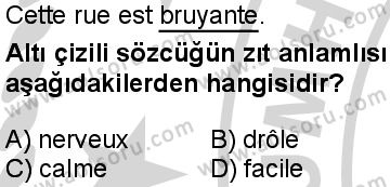 Fransızca 8 Dersi 2024-2025 yılı 3. Dönem sınavı 9. Soru
