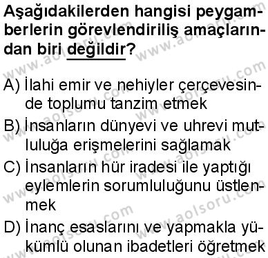 Seçmeli Peygamberimizin Hayatı 5 Dersi 2024-2025 yılı 3. Dönem sınavı 7. Soru