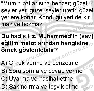 Seçmeli Peygamberimizin Hayatı 5 Dersi 2024-2025 yılı 3. Dönem sınavı 9. Soru