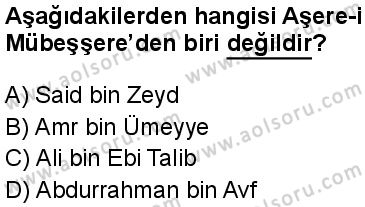 Seçmeli Peygamberimizin Hayatı 7 Dersi 2024-2025 yılı 3. Dönem sınavı 8. Soru