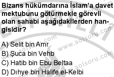 Seçmeli Peygamberimizin Hayatı 7 Dersi 2024-2025 yılı 3. Dönem sınavı 9. Soru