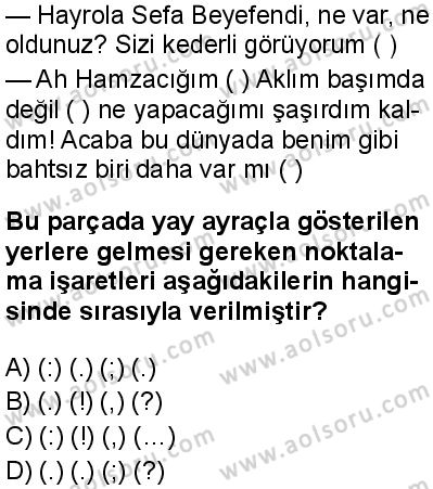 Türk Dili ve Edebiyatı 7 Dersi 2024-2025 yılı 3. Dönem sınavı 5. Soru