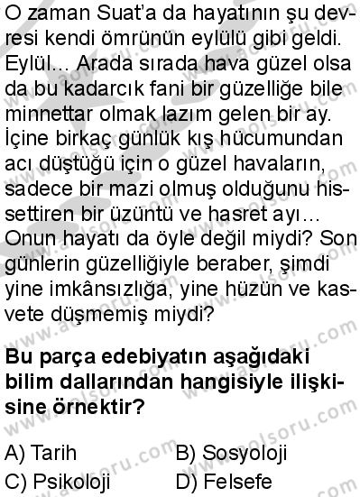 Türk Dili ve Edebiyatı 7 Dersi 2024-2025 yılı 3. Dönem sınavı 8. Soru