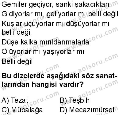 Türk Dili ve Edebiyatı 7 Dersi 2024-2025 yılı 3. Dönem sınavı 9. Soru