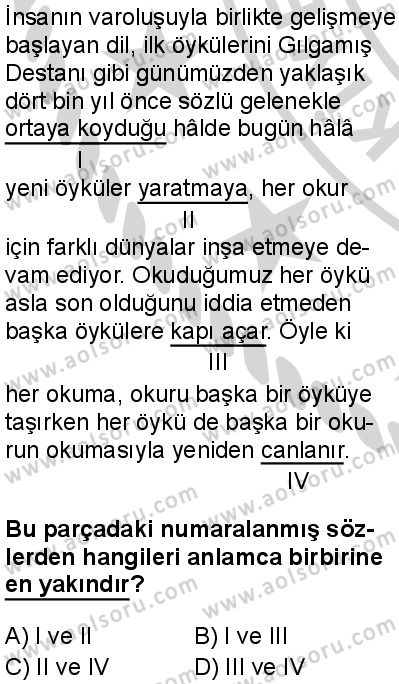 Türk Dili ve Edebiyatı 8 Dersi 2024-2025 yılı 3. Dönem sınavı 1. Soru