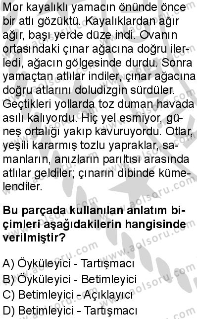 Türk Dili ve Edebiyatı 8 Dersi 2024-2025 yılı 3. Dönem sınavı 8. Soru