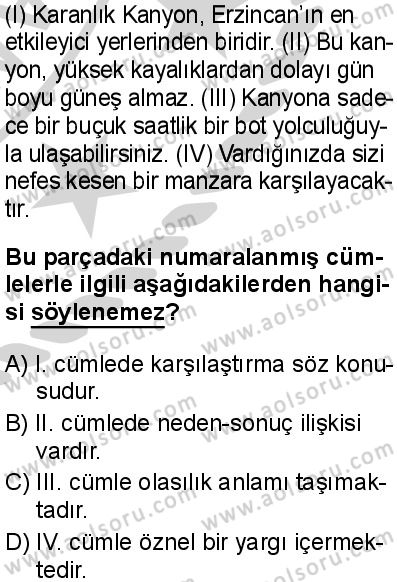 Seçmeli Türk Dili ve Edebiyatı 3 Dersi 2024-2025 yılı 3. Dönem sınavı 2. Soru