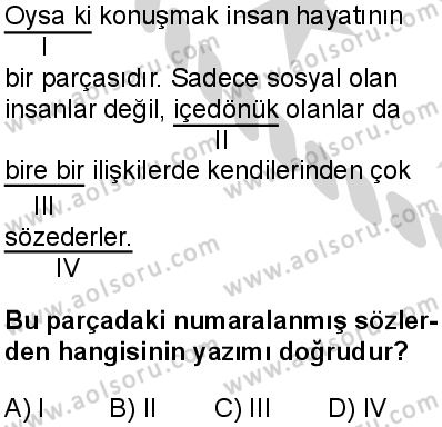 Seçmeli Türk Dili ve Edebiyatı 3 Dersi 2024-2025 yılı 3. Dönem sınavı 5. Soru