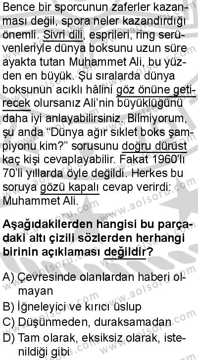 Seçmeli Türk Dili ve Edebiyatı 3 Dersi 2024-2025 yılı 3. Dönem sınavı 8. Soru