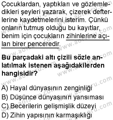 Seçmeli Türk Dili ve Edebiyatı 3 Dersi 2024-2025 yılı 3. Dönem sınavı 9. Soru