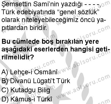 Seçmeli Türk Dili ve Edebiyatı 3 Dersi 2024-2025 yılı 3. Dönem sınavı 10. Soru