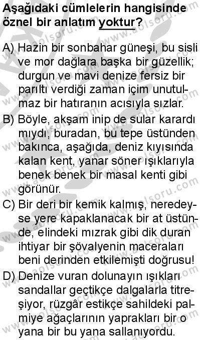 Seçmeli Türk Dili ve Edebiyatı 4 Dersi 2024-2025 yılı 3. Dönem sınavı 1. Soru