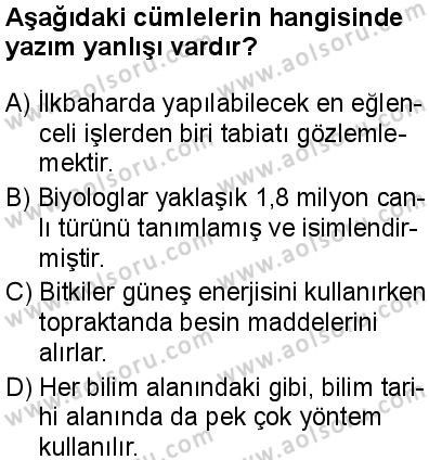 Seçmeli Türk Dili ve Edebiyatı 4 Dersi 2024-2025 yılı 3. Dönem sınavı 4. Soru