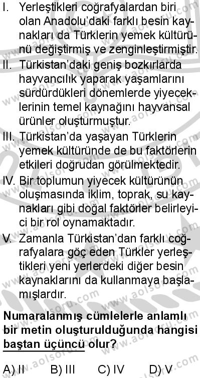 Seçmeli Türk Dili ve Edebiyatı 4 Dersi 2024-2025 yılı 3. Dönem sınavı 5. Soru