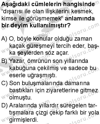 Seçmeli Türk Dili ve Edebiyatı 4 Dersi 2024-2025 yılı 3. Dönem sınavı 8. Soru