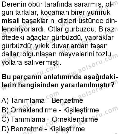 Seçmeli Türk Dili ve Edebiyatı 4 Dersi 2024-2025 yılı 3. Dönem sınavı 9. Soru