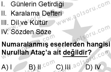 Seçmeli Türk Dili ve Edebiyatı 4 Dersi 2024-2025 yılı 3. Dönem sınavı 10. Soru