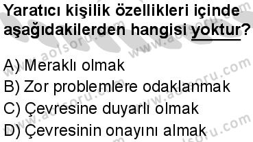 Seçmeli Girişimcilik 1 Dersi 2024-2025 yılı 3. Dönem sınavı 2. Soru