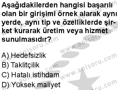 Seçmeli Girişimcilik 1 Dersi 2024-2025 yılı 3. Dönem sınavı 9. Soru