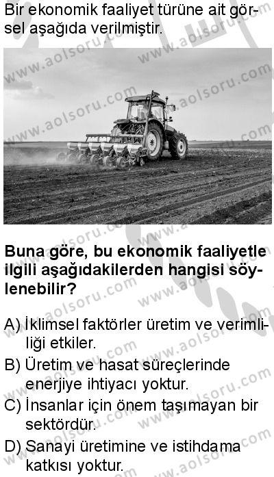 Coğrafya 2 Dersi 2024-2025 yılı 3. Dönem sınavı 6. Soru