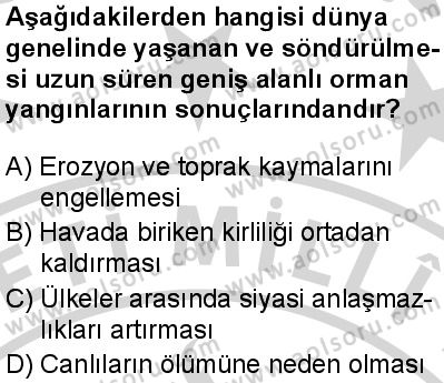 Coğrafya 2 Dersi 2024-2025 yılı 3. Dönem sınavı 8. Soru