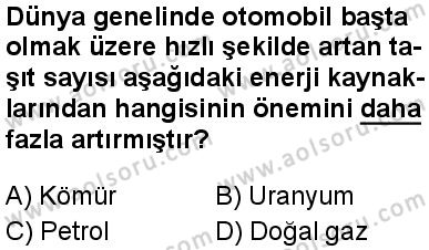 Seçmeli Coğrafya 2 Dersi 2024-2025 yılı 3. Dönem sınavı 7. Soru