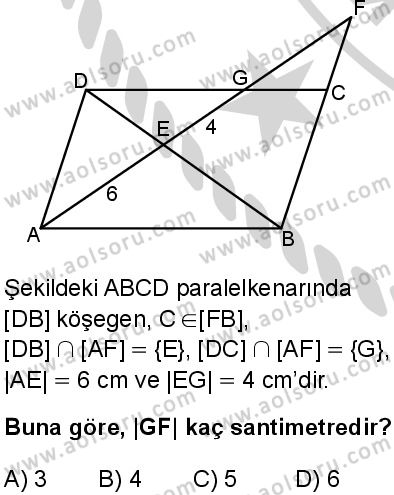 Matematik 4 Dersi 2024-2025 yılı 3. Dönem sınavı 8. Soru