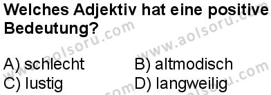 Almanca 2 Dersi 2024-2025 yılı 3. Dönem sınavı 10. Soru