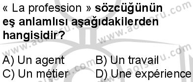 Fransızca 2 Dersi 2024-2025 yılı 3. Dönem sınavı 8. Soru