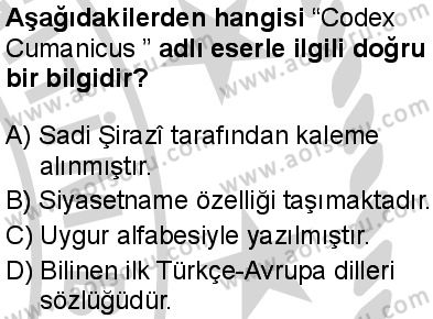 Seçmeli Ortak Türk Tarihi 2 Dersi 2024-2025 yılı 3. Dönem sınavı 1. Soru