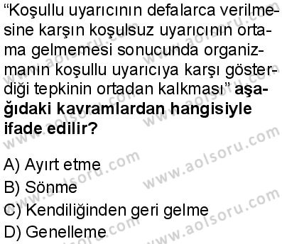 Seçmeli Psikoloji 2 Dersi 2024-2025 yılı 3. Dönem sınavı 1. Soru