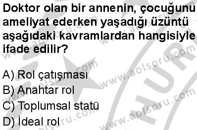 Seçmeli Sosyoloji 1 Dersi 2024-2025 yılı 3. Dönem sınavı 4. Soru