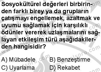 Seçmeli Sosyoloji 1 Dersi 2024-2025 yılı 3. Dönem sınavı 8. Soru
