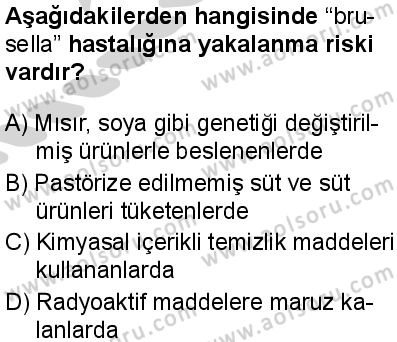 Sağlık Bilgisi ve Trafik Kültürü 1 Dersi 2024-2025 yılı 3. Dönem sınavı 3. Soru