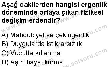 Sağlık Bilgisi ve Trafik Kültürü 1 Dersi 2024-2025 yılı 3. Dönem sınavı 4. Soru