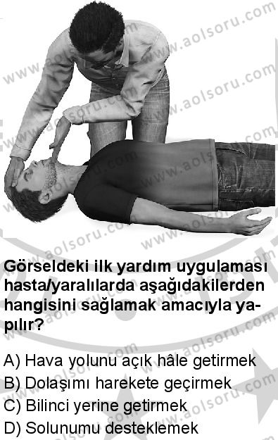 Sağlık Bilgisi ve Trafik Kültürü 1 Dersi 2024-2025 yılı 3. Dönem sınavı 9. Soru