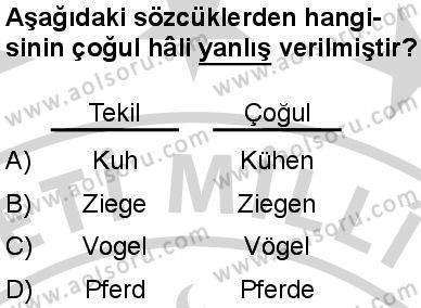 Almanca 4 Dersi 2024-2025 yılı 3. Dönem sınavı 10. Soru