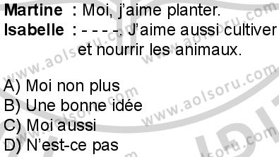 Fransızca 4 Dersi 2024-2025 yılı 3. Dönem sınavı 1. Soru