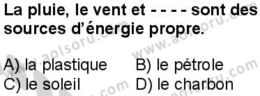 Fransızca 4 Dersi 2024-2025 yılı 3. Dönem sınavı 5. Soru