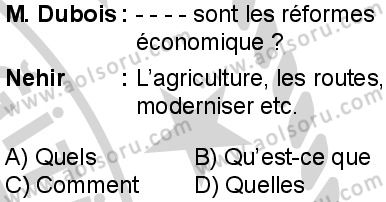 Fransızca 4 Dersi 2024-2025 yılı 3. Dönem sınavı 6. Soru